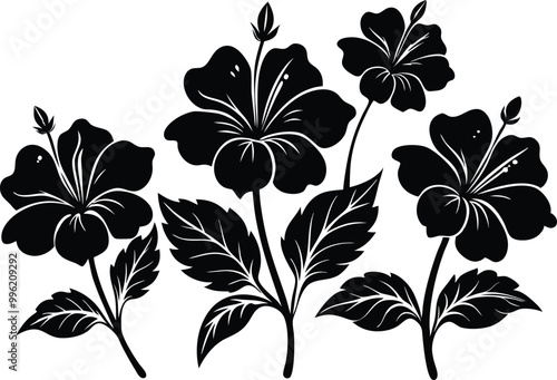 Black silhouettes of tropical hibiscus flowers isolated on a white background.