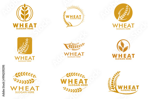 Set of Agriculture wheat logo vector template , Wheat Ears logo icon set