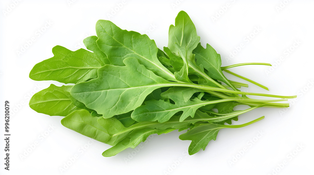 Fresh arugula leaves are vibrant and green, perfect for salads and garnishes. Their peppery flavor adds delightful touch to various dishes, enhancing culinary experiences. Fresh arugula leaves are vibrant and green, perfect for salads and garnishes. Their peppery flavor adds delightful touch to various dishes, enhancing culinary experiences.