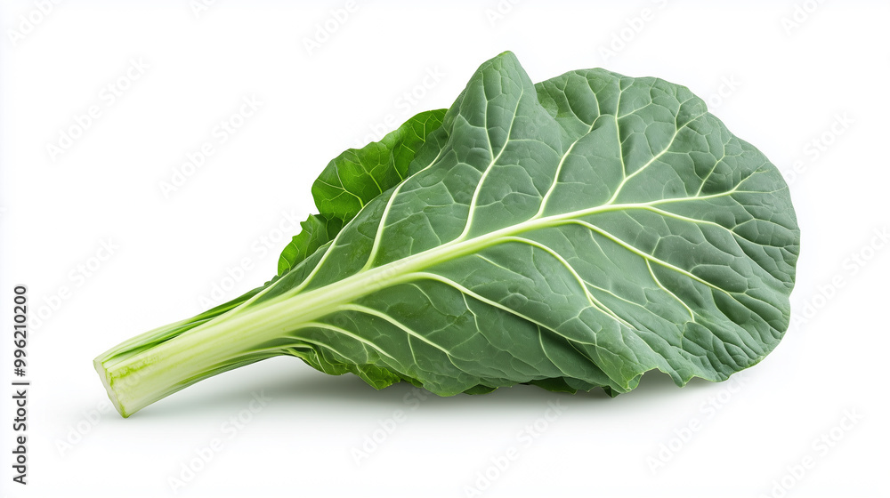 Fresh collard greens with vibrant green leaves and prominent veins, perfect for healthy dishes and salads. Their rich texture adds depth to various recipes. Fresh collard greens with vibrant green leaves and prominent veins, perfect for healthy dishes and salads. Their rich texture adds depth to various recipes.
