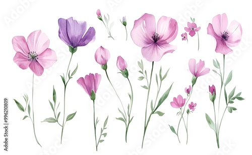 Wallpaper Mural Watercolor wild flower clipart, pink and purple flowers on a white background, in different angles and poses.  Torontodigital.ca