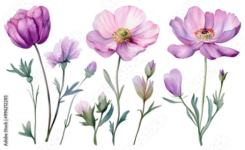 Wallpaper Mural Watercolor wild flower clipart, pink and purple flowers on a white background, in different angles and poses.  Torontodigital.ca
