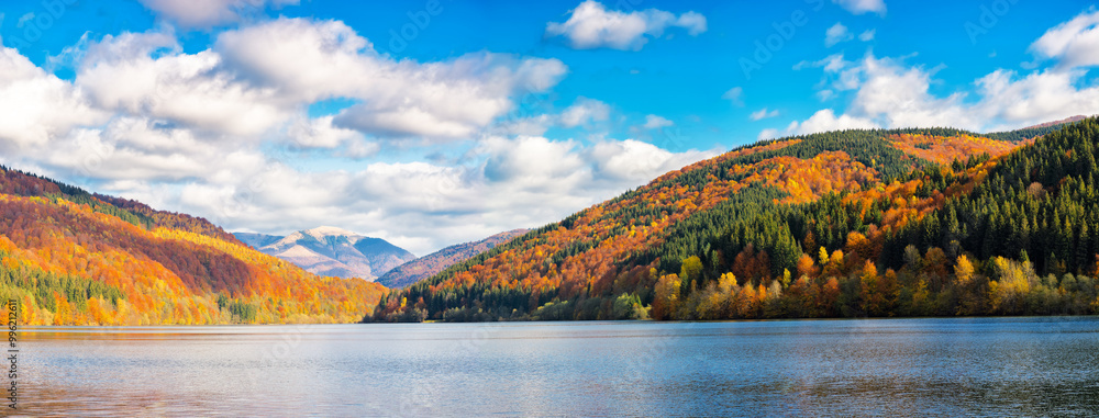 panorama of landscape by the lake in autumn. forest on the mountains in colorful foliage. countryside scenery of ukraine on a sunny day in fall season