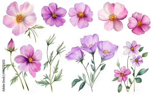 Wallpaper Mural Watercolor wild flower clipart, pink and purple flowers on a white background, in different angles and poses.  Torontodigital.ca
