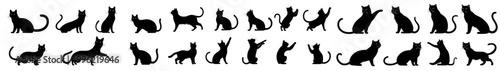 A modern set of cat silhouettes isolated on a white background