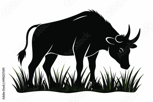 bull eating grass G.eps