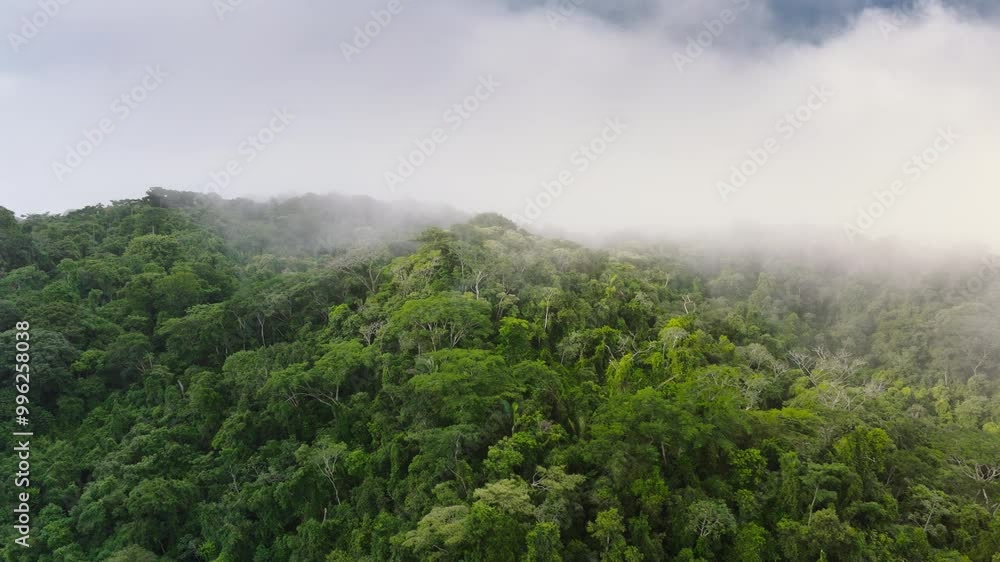 Embark on an exhilarating journey over the lush, misty forests of Costa Rica. This breathtaking aerial view offers vibrant greenery and enchanting fog, creating cherished memories Embark on an exhilarating journey over the lush, misty forests of Costa Rica. This breathtaking aerial view offers vibrant greenery and enchanting fog, creating cherished memories