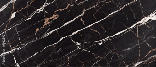 Black Marble with Golden Veins