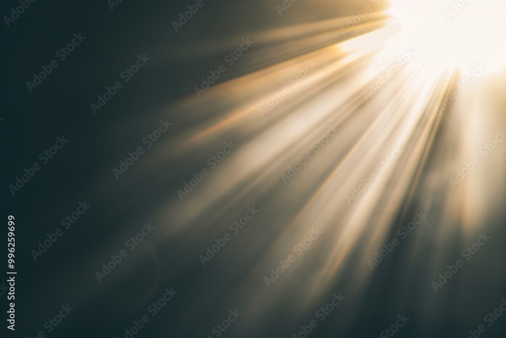 Obraz na plátně Sun ray backgrounds sunlight nature.