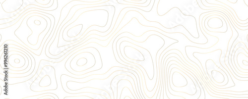 Wallpaper Mural Digital Topographic Sketch with Gold Wavy Contours and Geometric Grid Patterns for a Luxury Travel Map
 Torontodigital.ca