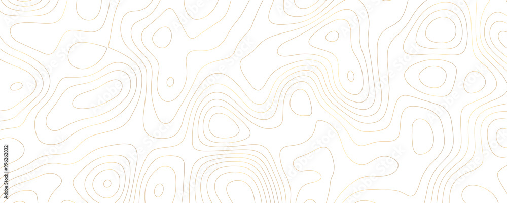 Abstract Geometric Topography Design with Distorted Gold Lines and Curves for a Digital Terrain Wallpaper
Abstract Geometric Topography Design with Distorted Gold Lines and Curves for a Digital Terrain Wallpaper