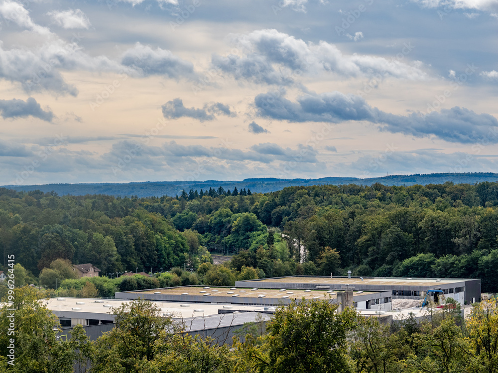 Dach einer Industriehalle im Wald Dach einer Industriehalle im Wald