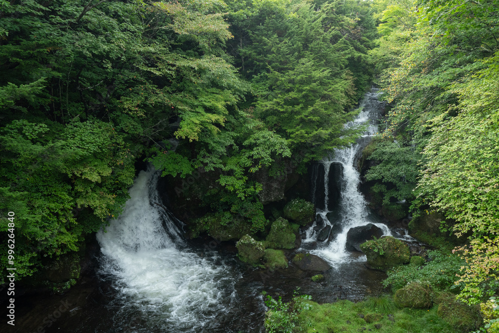 竜頭の滝 竜頭の滝