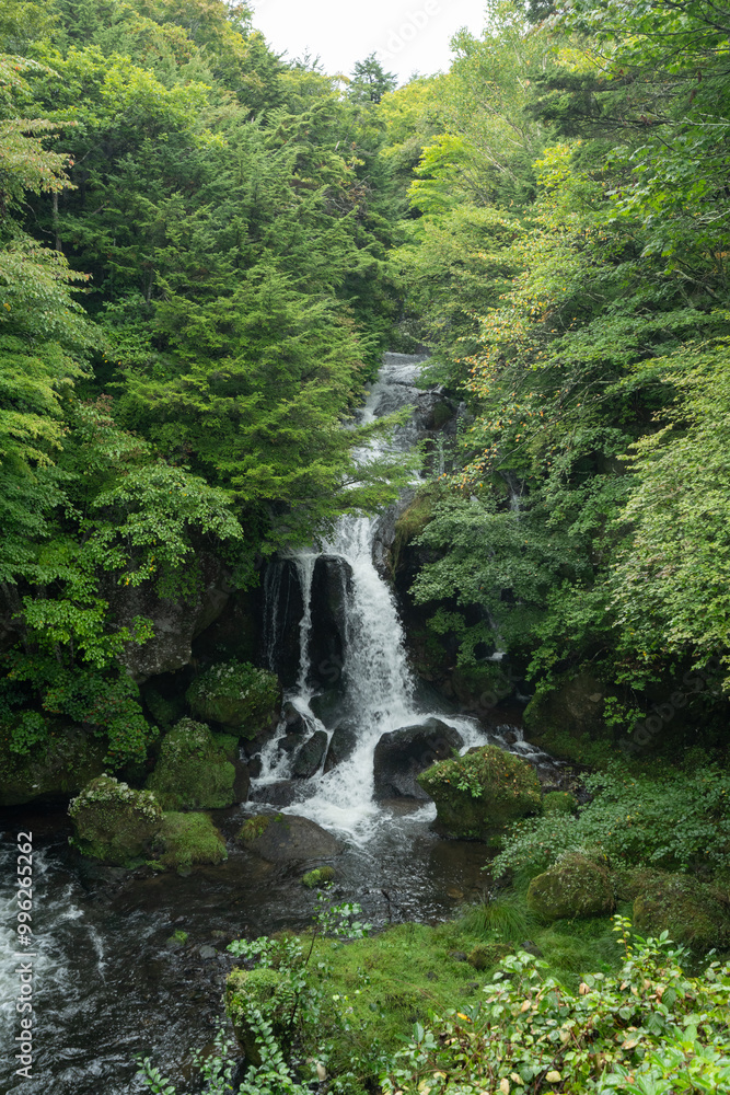 Naklejka premium 竜頭の滝