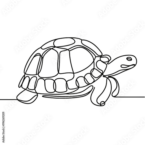 A turtle is shown in a black and white drawing. The turtle is walking on a white background