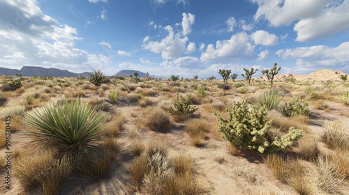 A wide-angle view of desert vegetation, including sparse grasses and succulents, struggling to survive in arid conditions.