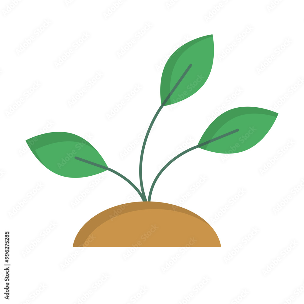 Young Green Plant Growing from Soil. Young Green Plant Growing from Soil.