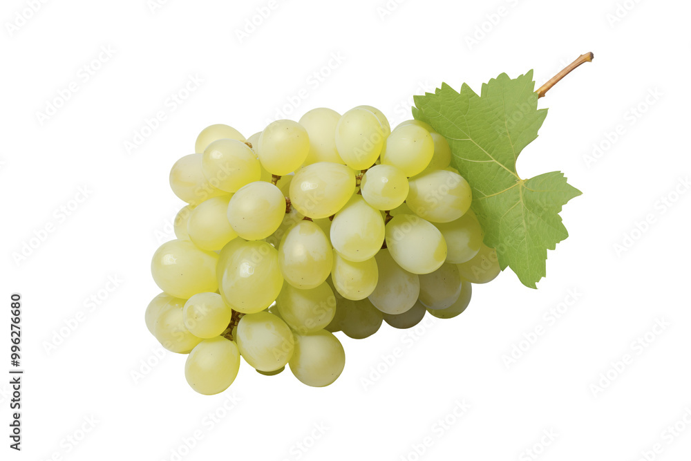 White grape on transparent background. PNG cutout. Wine related themes. Wine professions. Oenologist. Wine shop. Buying and selling wine. Images for graphic designers. Isolated wine. Image for website White grape on transparent background. PNG cutout. Wine related themes. Wine professions. Oenologist. Wine shop. Buying and selling wine. Images for graphic designers. Isolated wine. Image for website