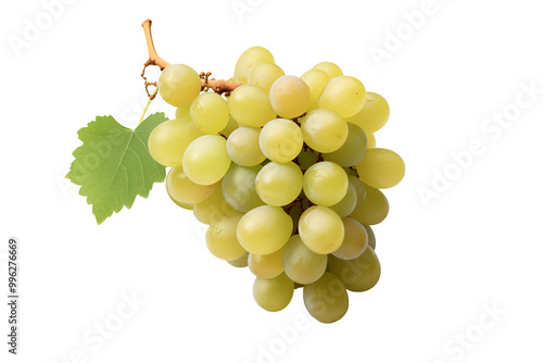 White grape on transparent background. PNG cutout. Wine related themes. Wine professions. Oenologist. Wine shop. Buying and selling wine. Images for graphic designers. Isolated wine. Image for website