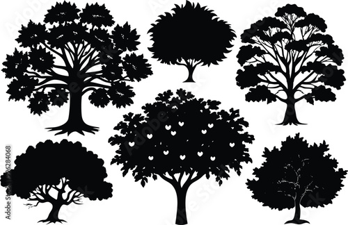 Set of different types Oak tree icon isolated on white background.