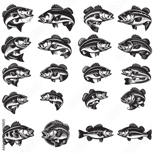 bass fish vector silhouette