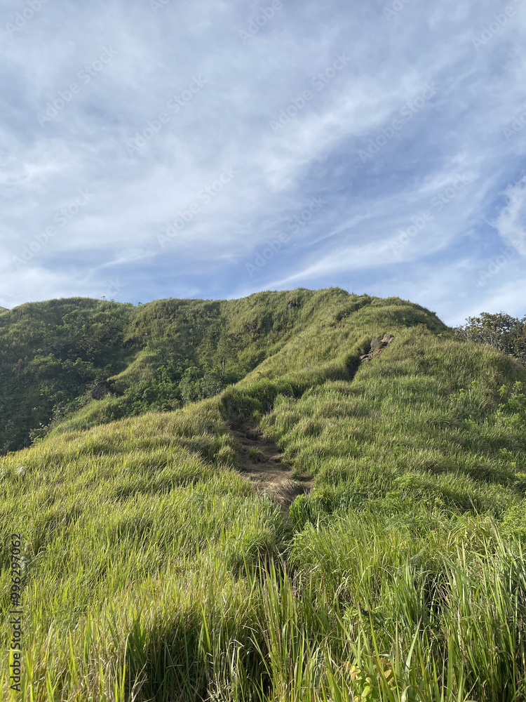 Fototapeta premium green hill and blue sky