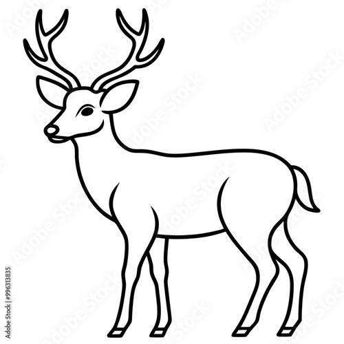 line art deer illustration black animal vector silhouette 