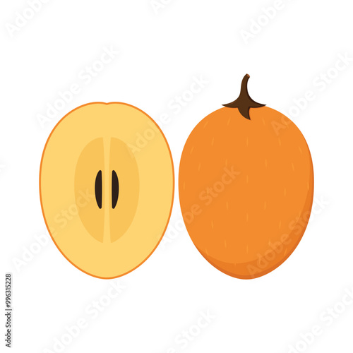 Sapodilla isolated on a white background. Vector illustration.