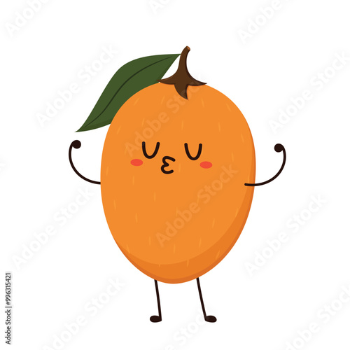 Sapodilla isolated on a white background. Vector illustration, sapodilla character vector.