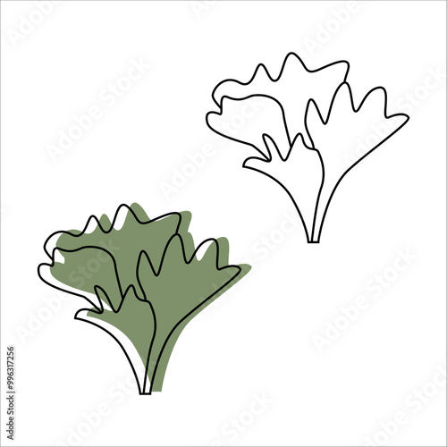 icons, vegetables. leaf lettuce. linear art. healthy food