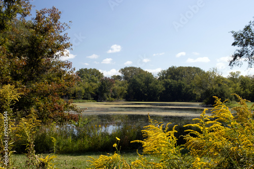 Marsh, pond, and native prairie grasses and trees in autumn at  Hickory Grove Conservation Area in McHenry County, Illinois
