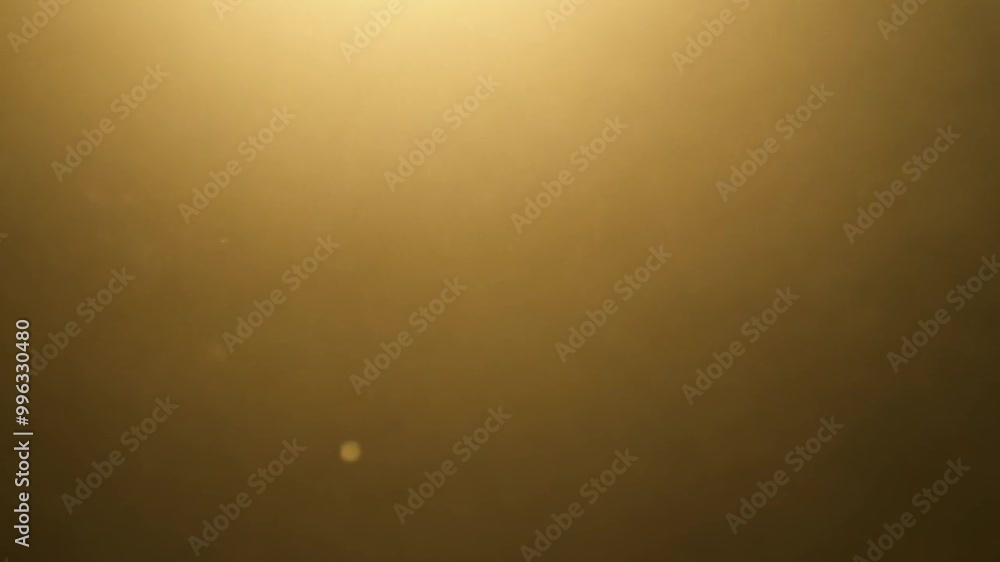 4K Golden Glitter Particles with Soft Floating Lights for Luxury and Festive Video Backgrounds 4K Golden Glitter Particles with Soft Floating Lights for Luxury and Festive Video Backgrounds