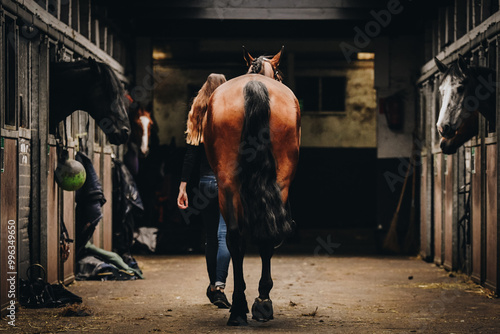 Girl walking with horse inside stable, getting ready to ride