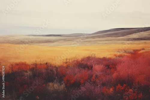 Minimal-large grassland landscape outdoors nature.