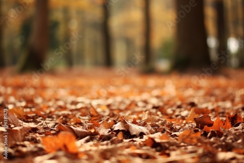 Autumn backdrops leaves forest. photo