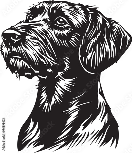adorable portrait of a German Wirehaired Pointer dog