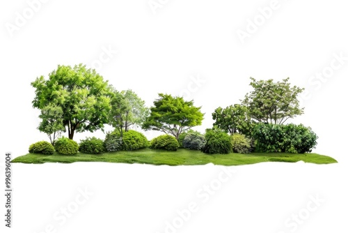 A green space with natural vegetation, suitable for outdoor events or recreation photo