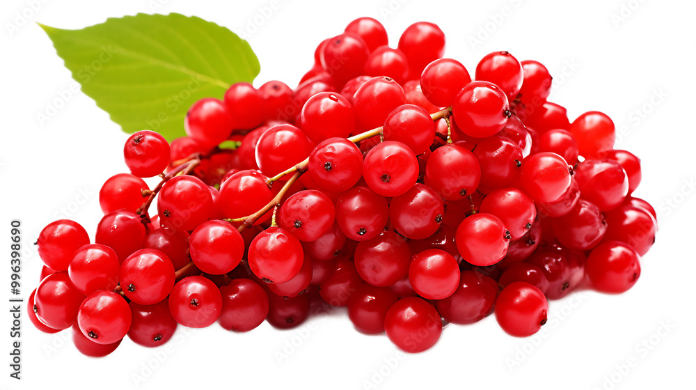 a bunch of red berries
a bunch of red berries