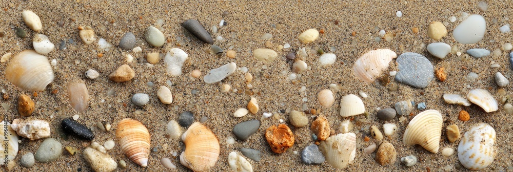 Coarse beach sand texture with small pebbles and shells mixed in Coarse beach sand texture with small pebbles and shells mixed in