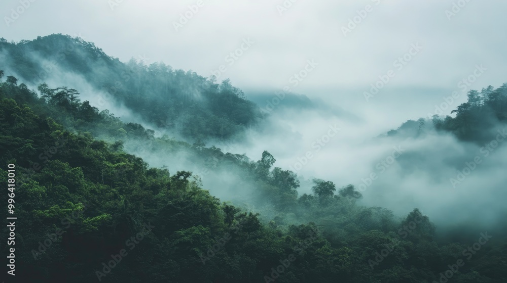 Foggy rainforest landscape emphasizing the need for conservation efforts Foggy rainforest landscape emphasizing the need for conservation efforts