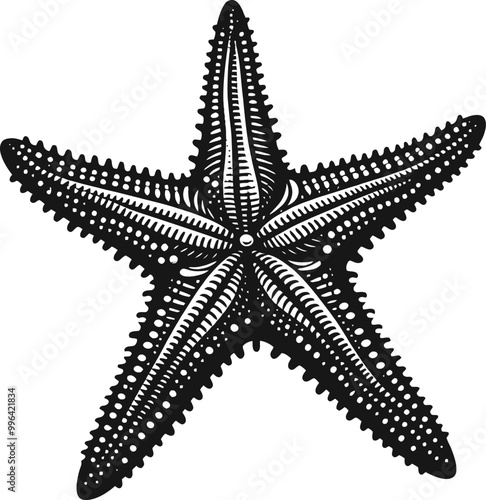 starfish on black background