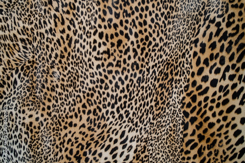 Leopard Animal Print. Background Texture.