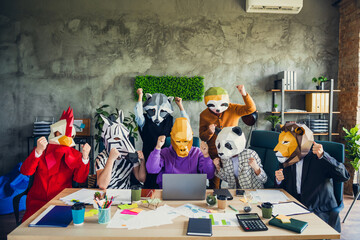 Photo of rooster gorilla lion sloth zebra panda raccoon mask people laptop desk raise fists celebrate loft interior office indoors
