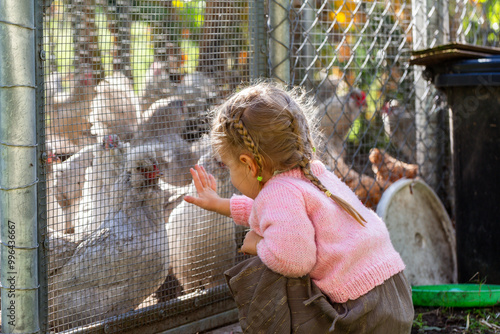 Little girl watching araucana chooks through fence on farm photo