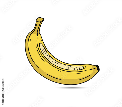 Banana design juicy fresh fruit icon vector template. Raw banana. Eco bio health food