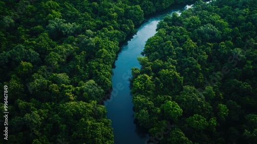 Aerial view of a river cutting through a dense forest, with space for text above the canopy.
