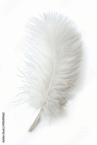 fluffy white feather highlighted on a white isolated background photo