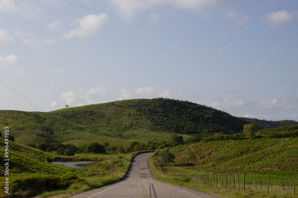 Naklejka premium PB - 079 Highway