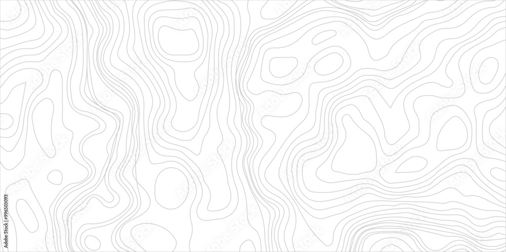 Abstract Topographic Contour Line Pattern in Black and White. Modern design with White background with topographic wavy pattern design. Abstract Topographic Contour Line Pattern in Black and White. Modern design with White background with topographic wavy pattern design.