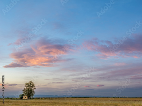 Sunset around the Albufera of Valencia (Spain)